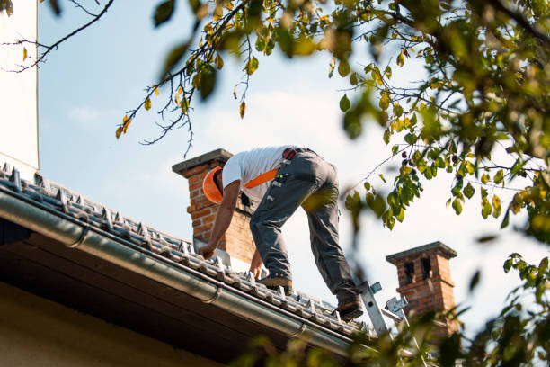 Best Roof Leak Repair  in Kingston, NJ