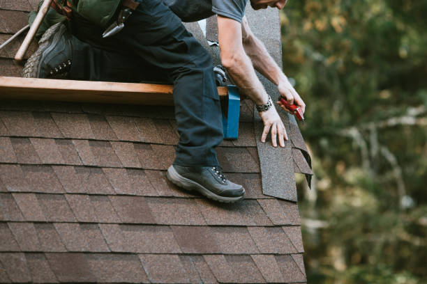 Best Roof Waterproofing Services  in Kingston, NJ